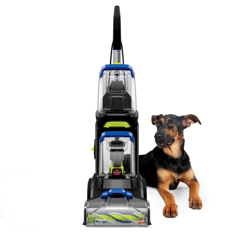 Reviews of pro power plus 2024 for dogs